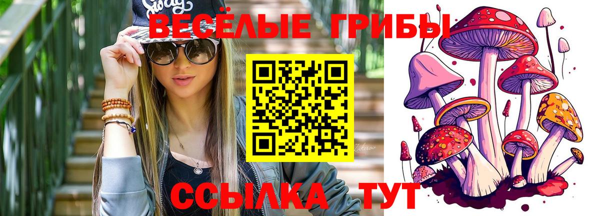 Галлюциногенные грибы Psilocybine cubensis  Вход с VPN  Псилоцибиновые грибы GOLDEN TEACHER  Лангепас 